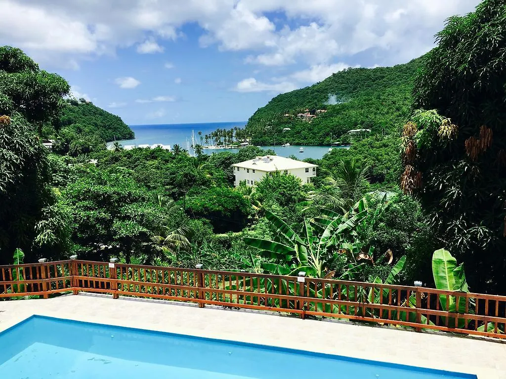 Treetops Villa contacts